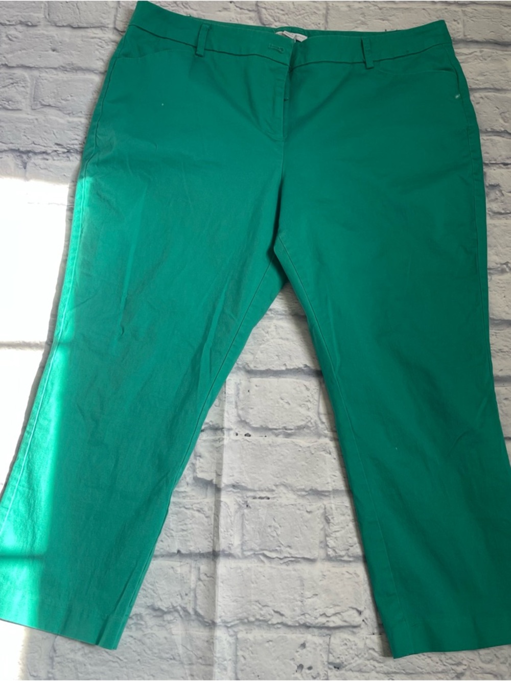 New York & Company Crop Pants